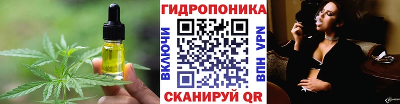 где купить наркотик  Каменск-Шахтинский  mega онион  Canna-Cookies марихуана 