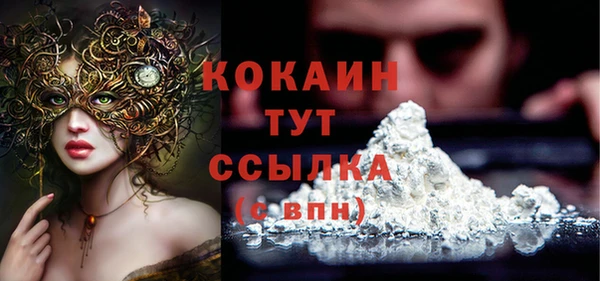 mdpv Инта