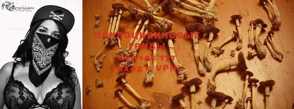 амфетамин Инсар