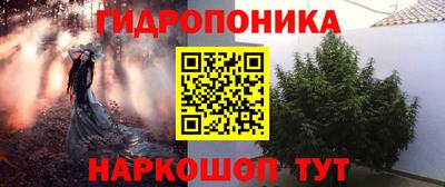 молекула духа Ликино-Дулёво