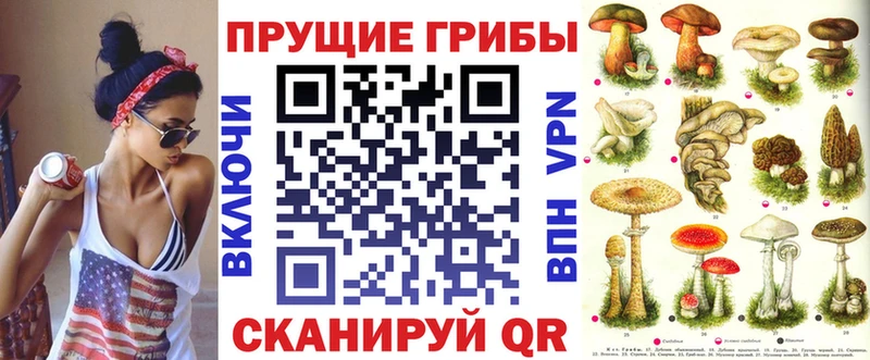 Галлюциногенные грибы MAGIC MUSHROOMS  ОМГ ОМГ сайт  Каменск-Шахтинский  закладки 