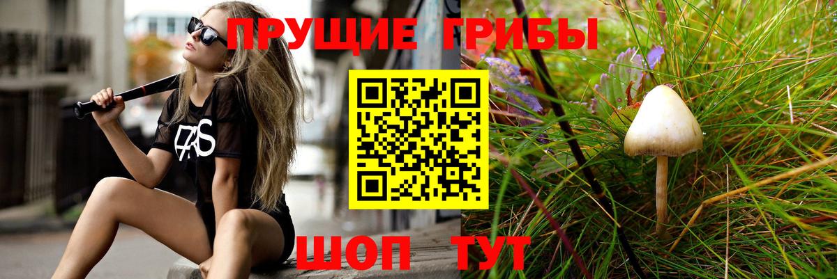 Псилоцибиновые грибы Psilocybe  Галлюциногенные грибы ЛСД  хочу   Вход с VPN  Каменск-Шахтинский 