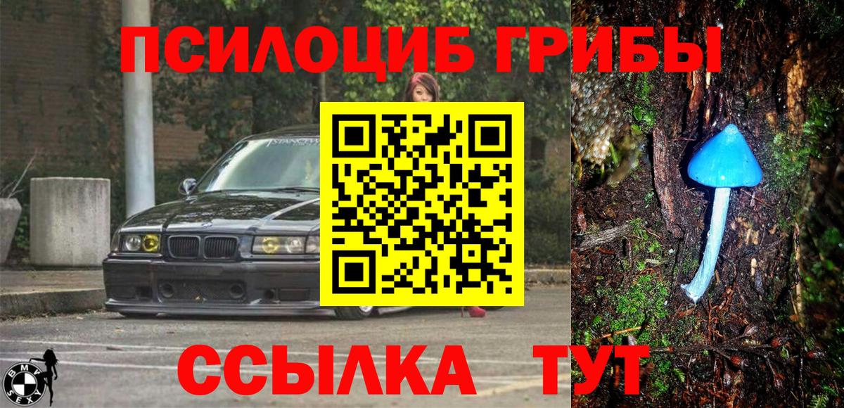 Галлюциногенные грибы прущие грибы Каменск-Шахтинский